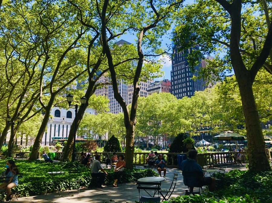 IMG_5416.jpg?type=w966