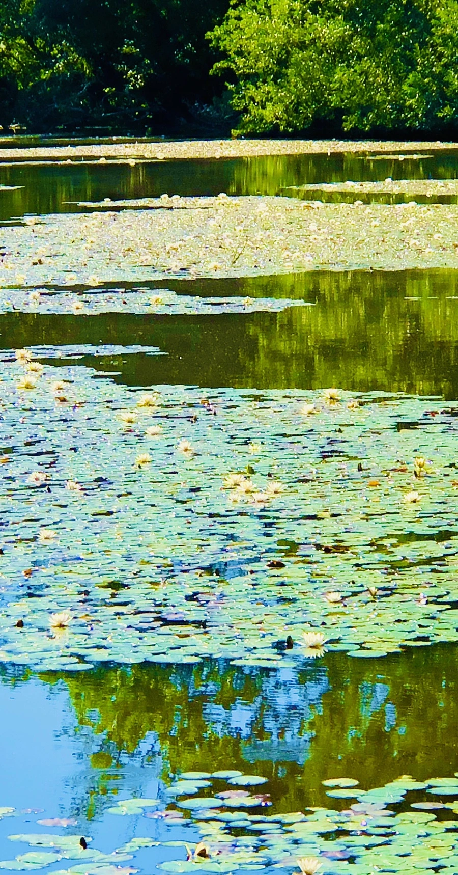 IMG_2309.jpg?type=w966