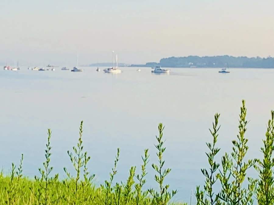 IMG_7428.jpg?type=w966