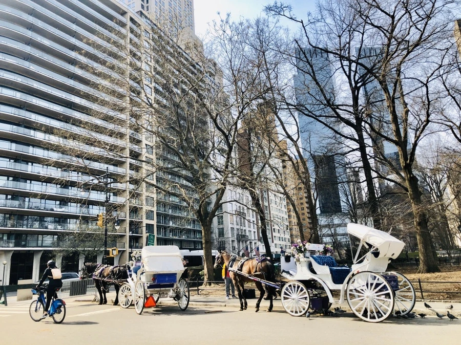 IMG_6454.jpg?type=w966