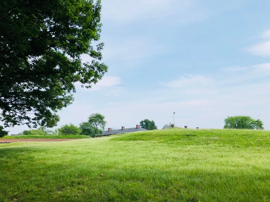 IMG_7460.jpg?type=w966