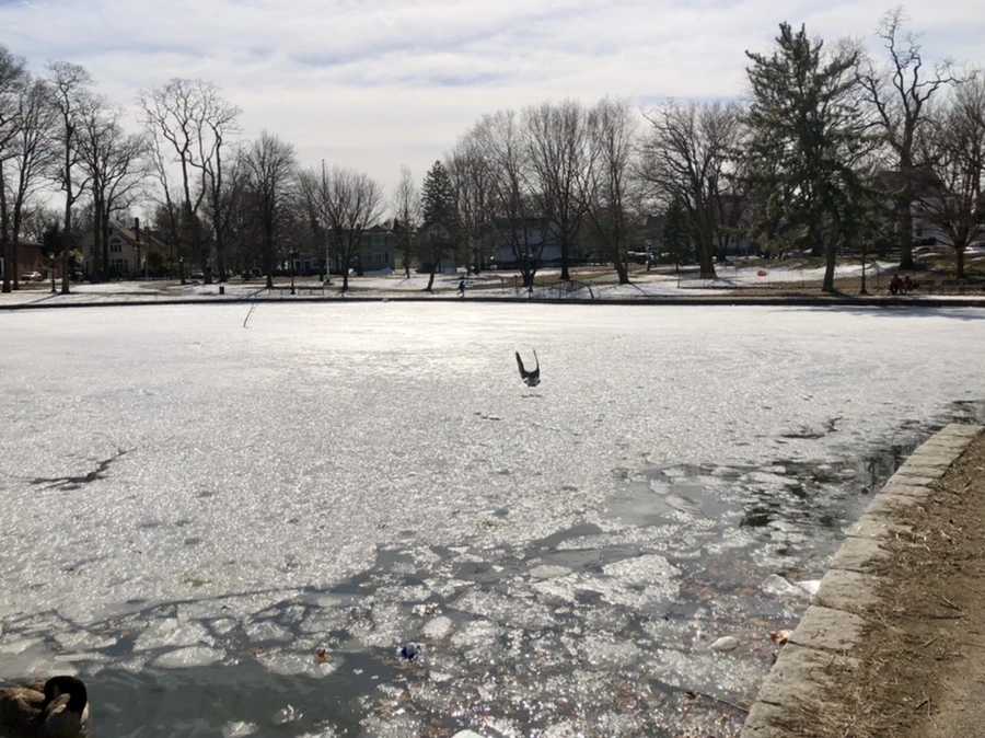 IMG_5317.jpg?type=w966