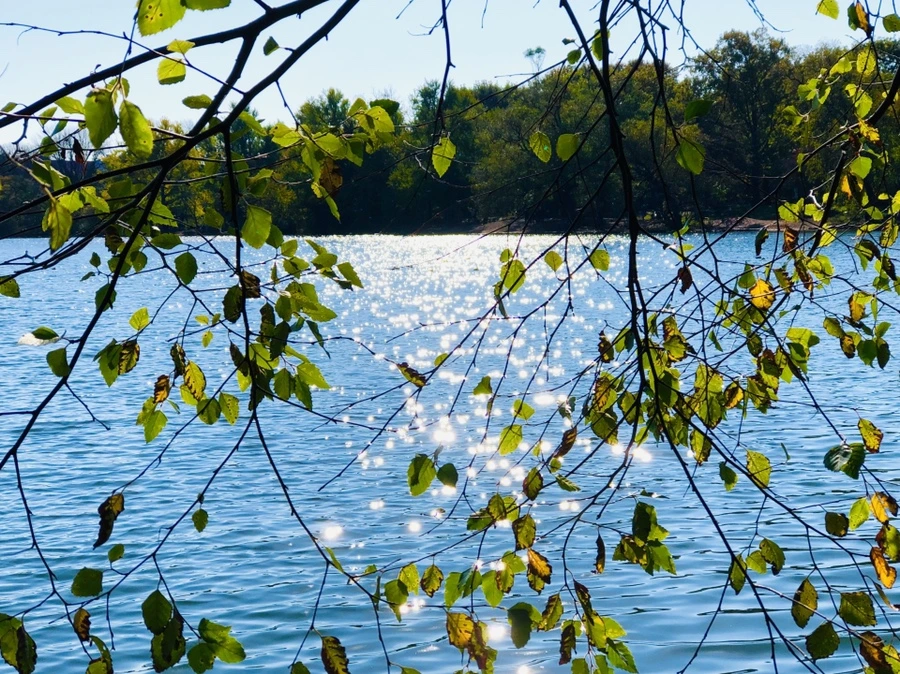 IMG_3223.jpg?type=w966