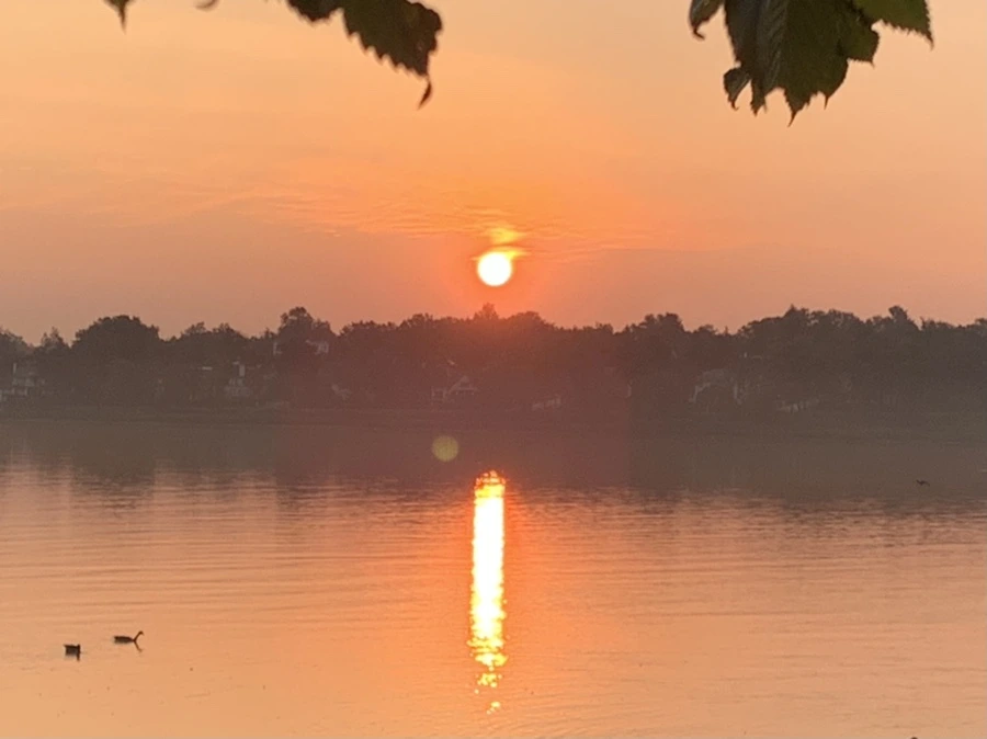 IMG_1381.jpg?type=w966