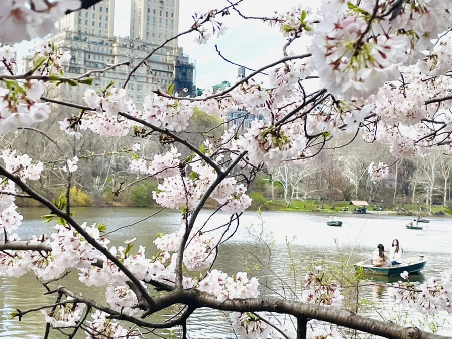 IMG_9845.jpg?type=w966