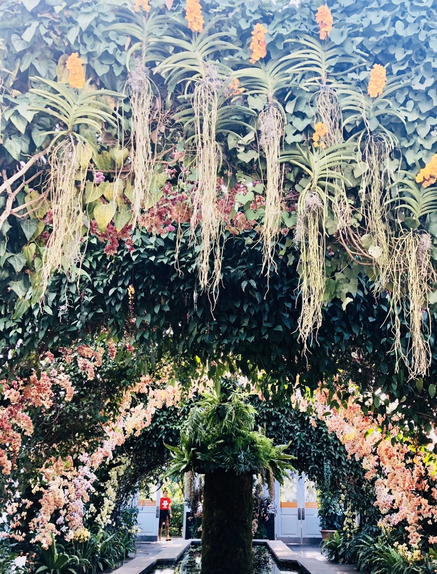 IMG_6301.jpg?type=w966