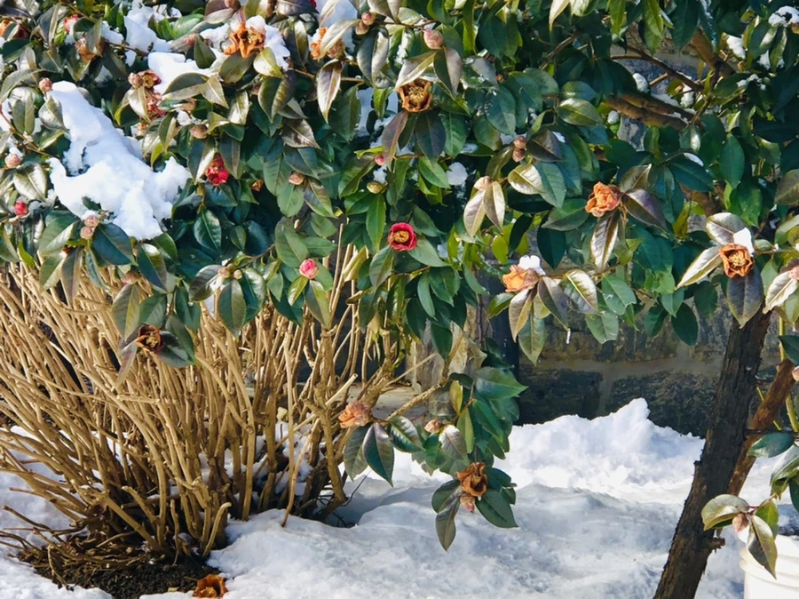 IMG_1275.jpg?type=w966