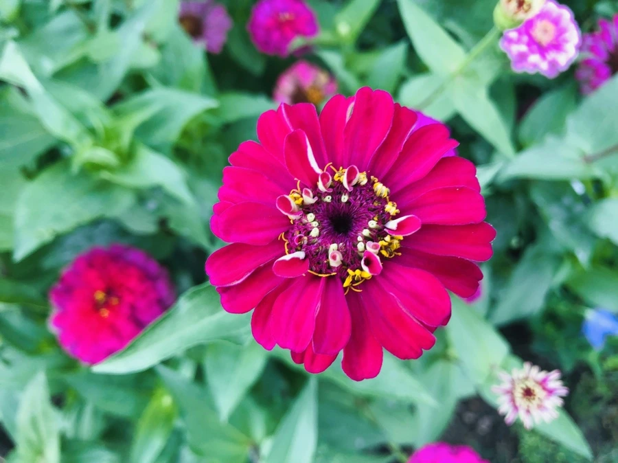 IMG_5644.jpg?type=w966