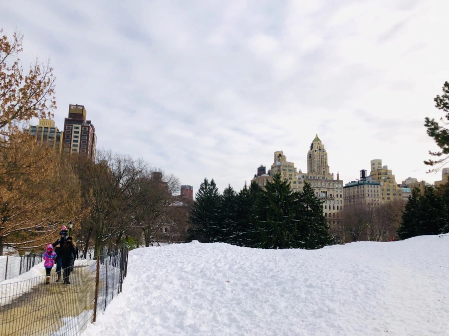 IMG_7286.jpg?type=w966