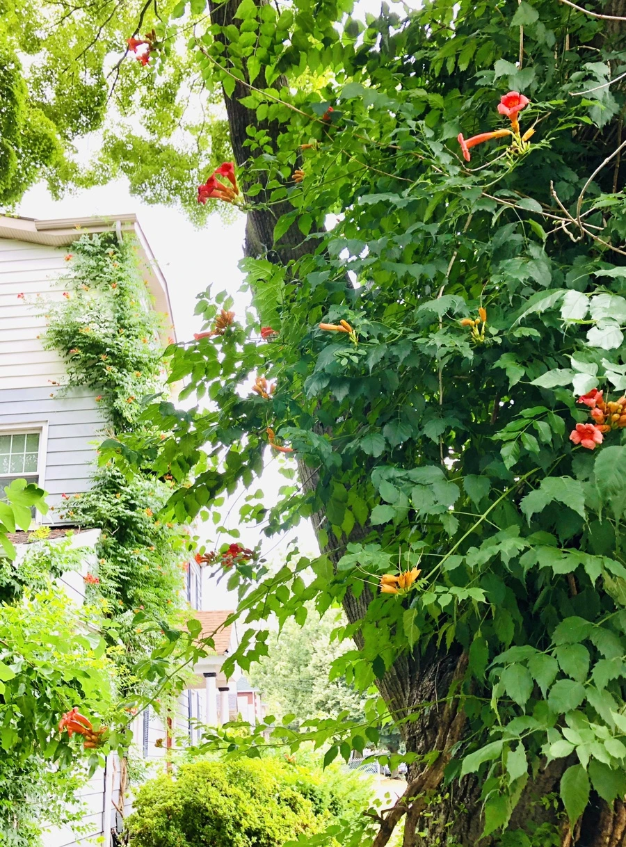 IMG_2178.jpg?type=w966