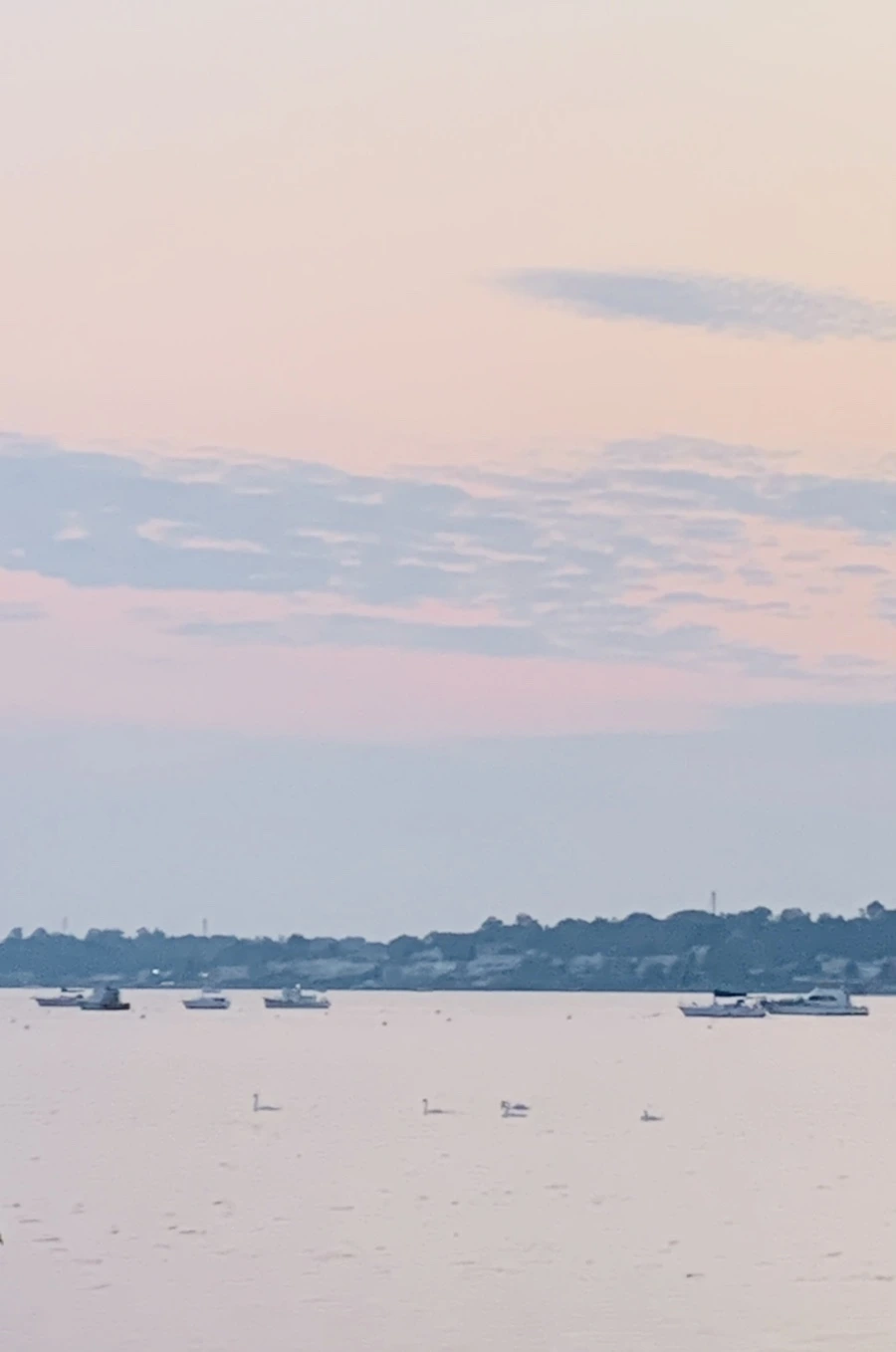 IMG_2295.jpg?type=w966