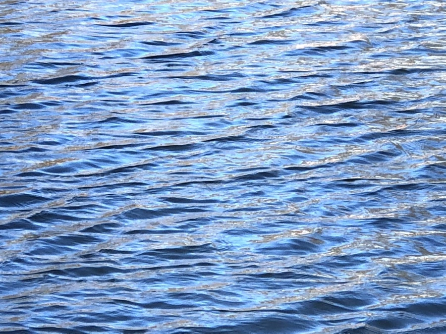 IMG_3856.jpg?type=w966