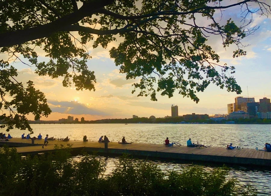 IMG_0846.jpg?type=w966