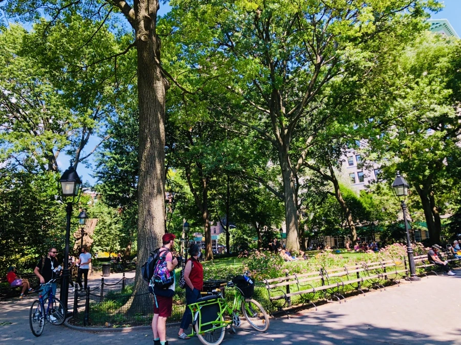 IMG_5429.jpg?type=w966