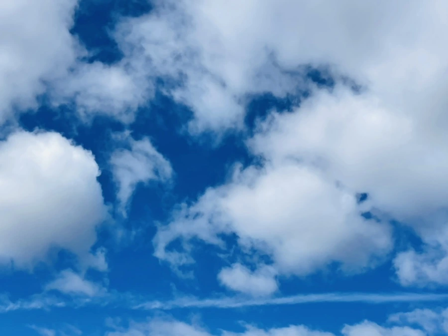 IMG_7594.jpg?type=w966