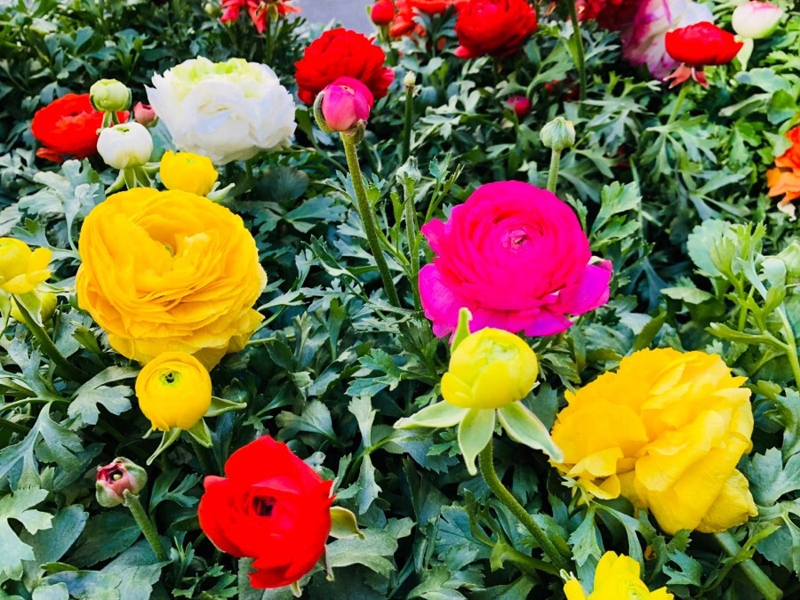 x2VDE2PE_vdO_wT_i07wmwaQOlw