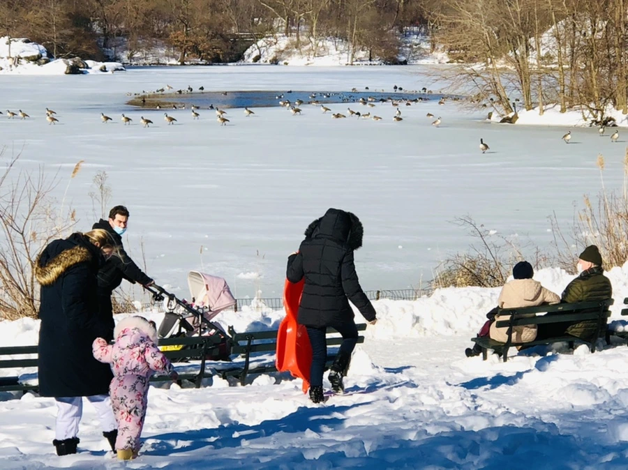 IMG_9805.jpg?type=w966