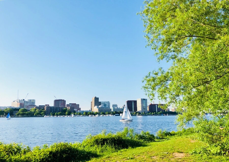 IMG_6780.jpg?type=w966