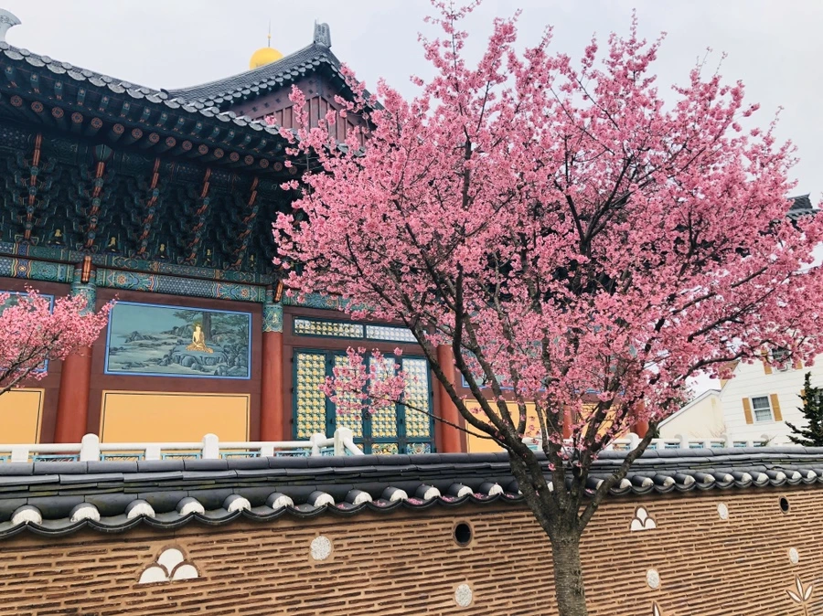 IMG_6119.jpg?type=w966