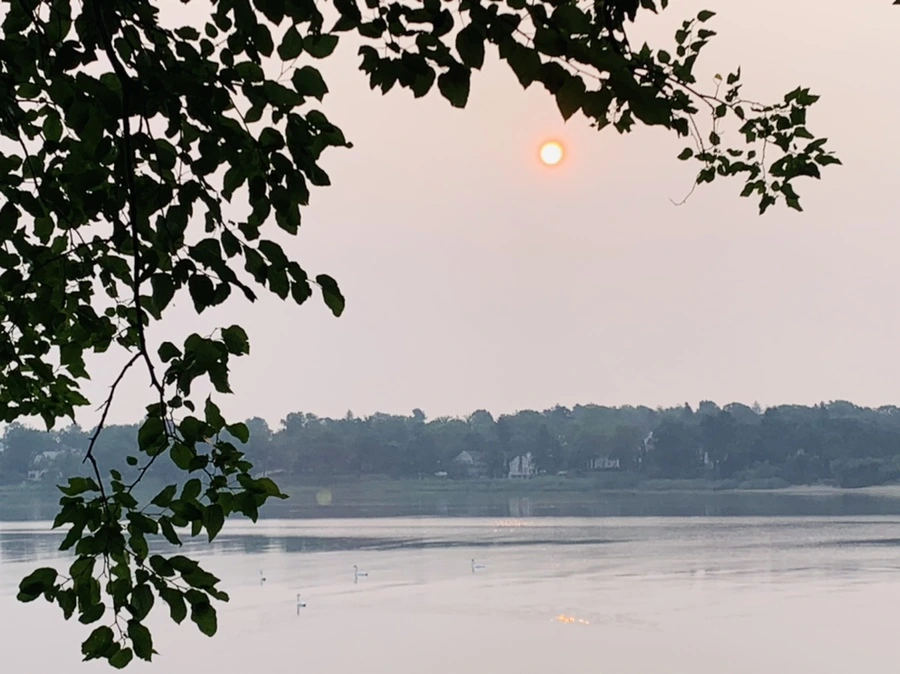 IMG_8382.jpg?type=w966