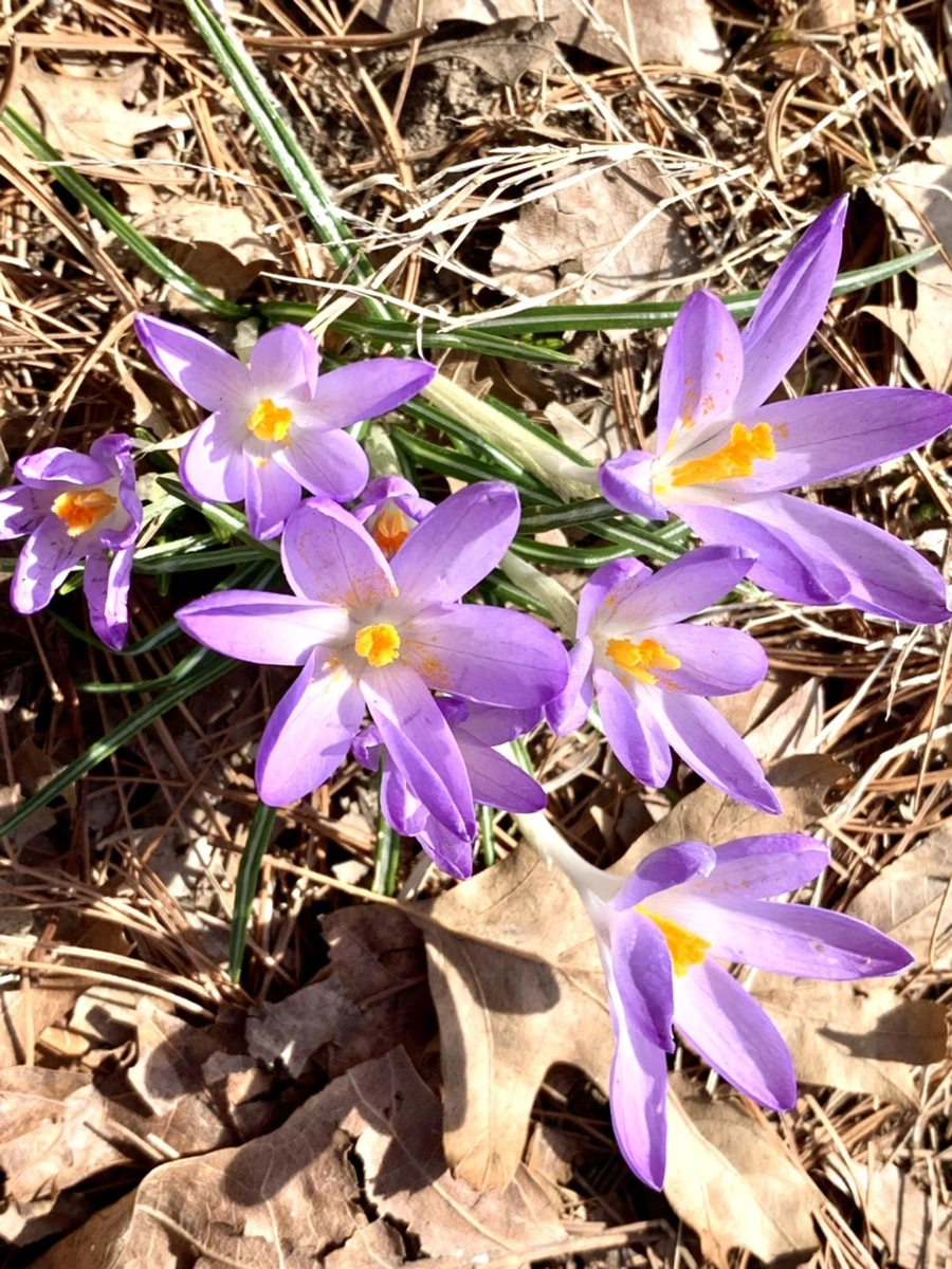 IMG_9652.jpg?type=w966