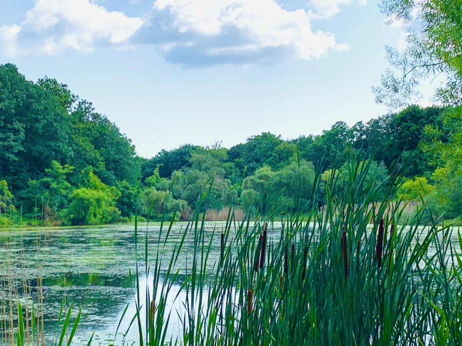 IMG_7502.jpg?type=w966