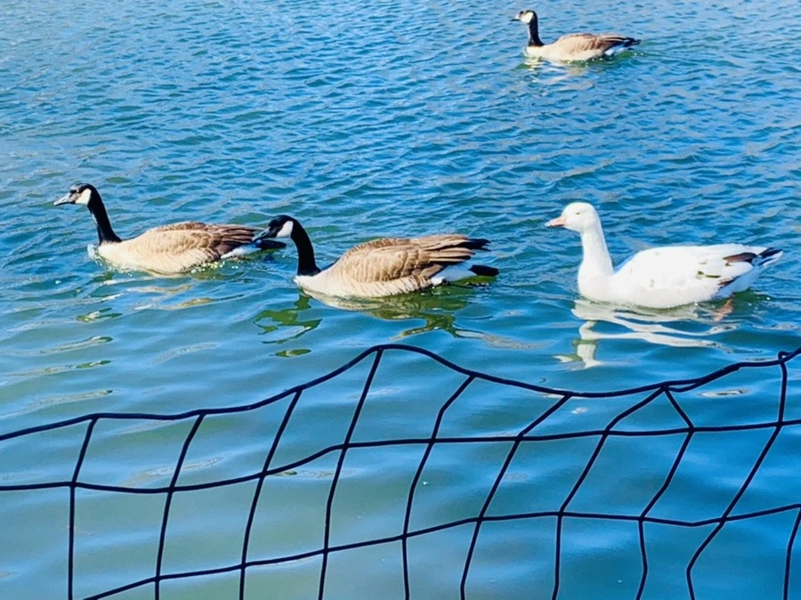 fb-iwzVTq40LquHncX_lGczAnkQ