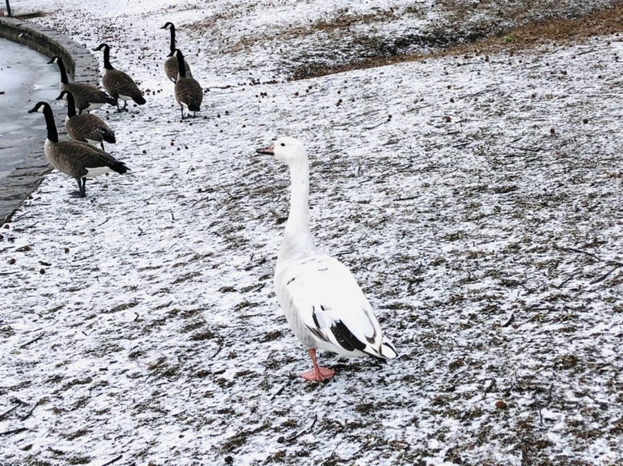 IMG_5915.jpg?type=w966