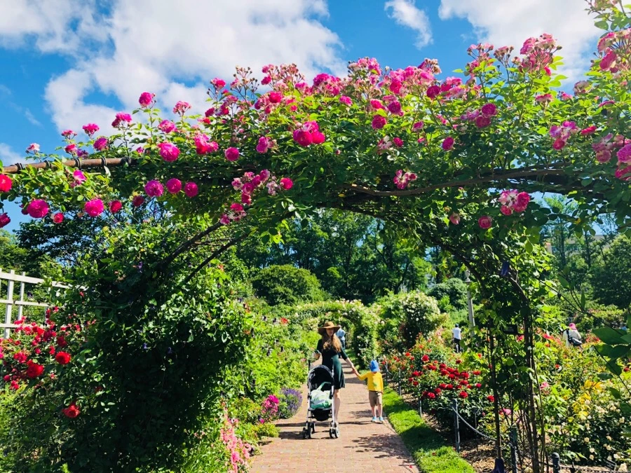 IMG_7768.jpg?type=w966