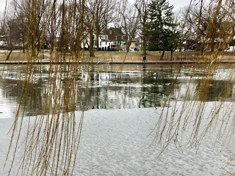 IMG_3203.jpg?type=w966