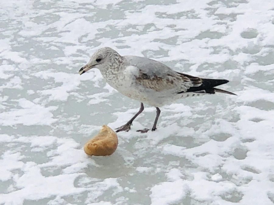 IMG_3792.jpg?type=w966