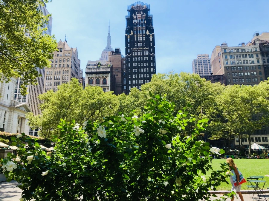 IMG_5287.jpg?type=w966