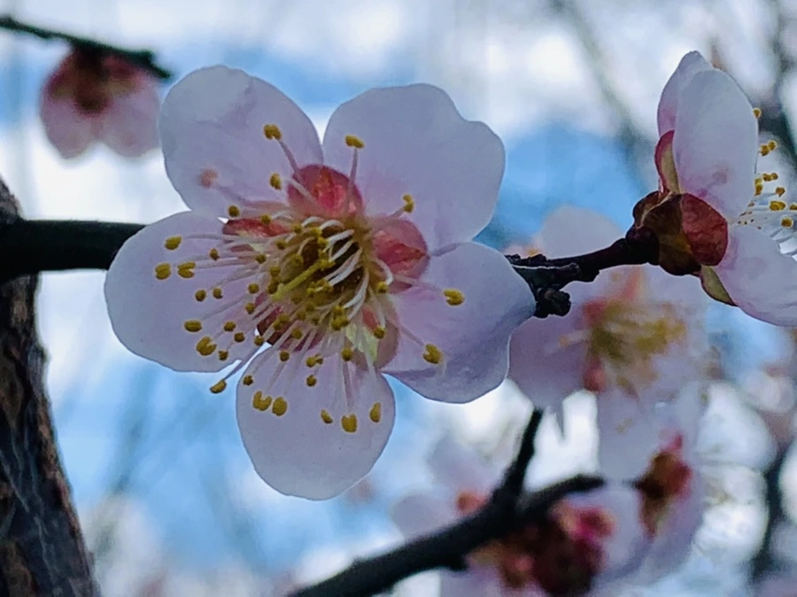 IMG_1023.jpg?type=w966