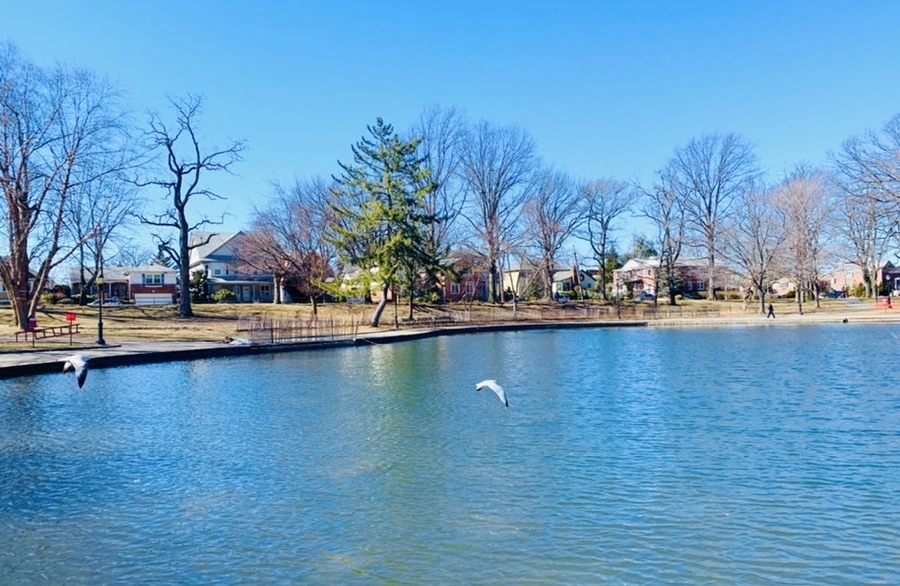 nZAUdRU326qLnPTbkIdxM4eKxpU