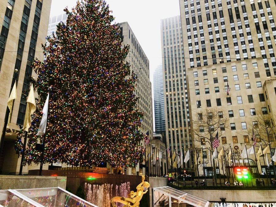 IMG_6575.jpg?type=w966