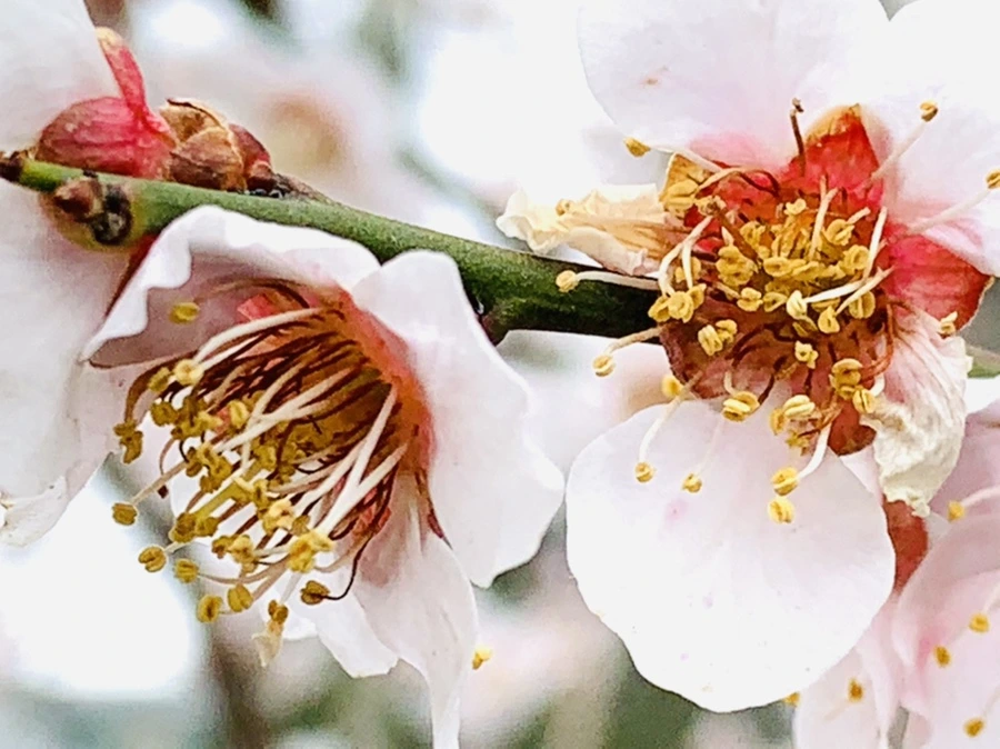 IMG_3667.jpg?type=w966