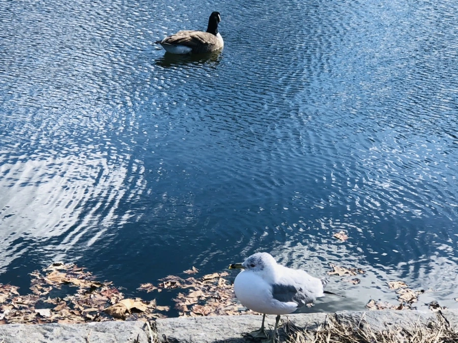 IMG_7610.jpg?type=w966