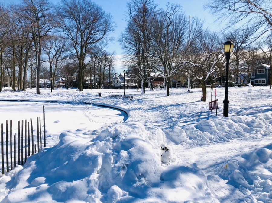 IMG_1350.jpg?type=w966