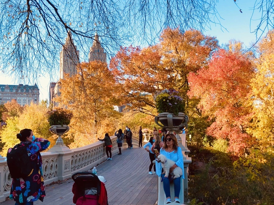 IMG_3593.jpg?type=w966