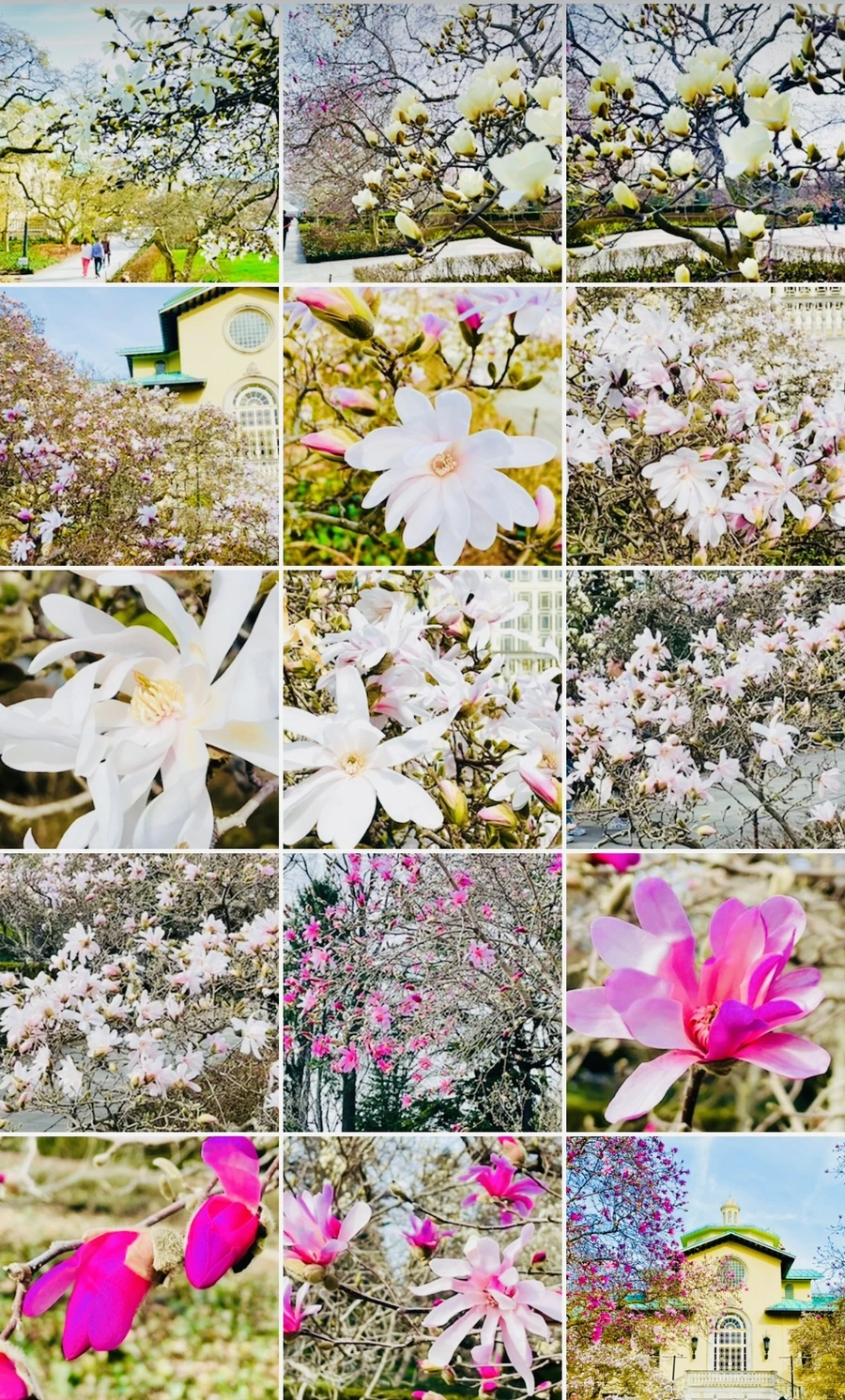 IMG_6769.jpg?type=w966