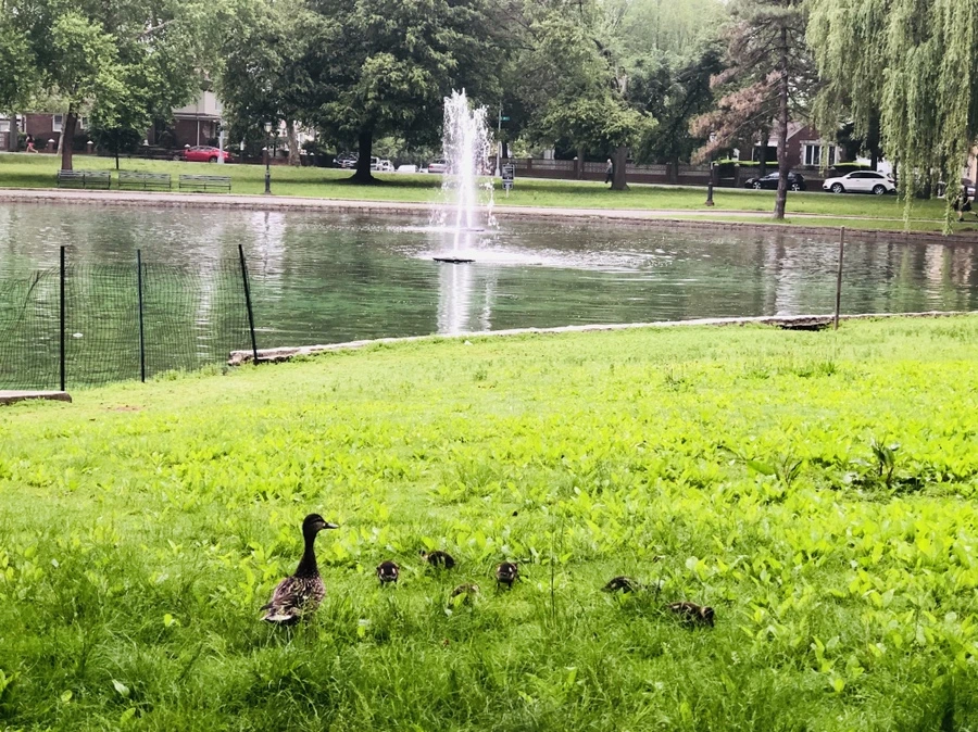 IMG_5546.jpg?type=w966