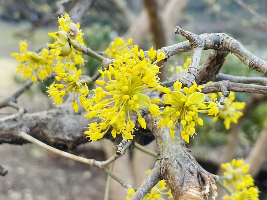 IMG_5399.jpg?type=w966