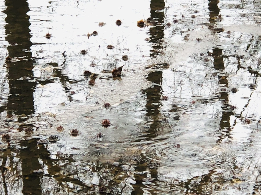 IMG_5645.jpg?type=w966