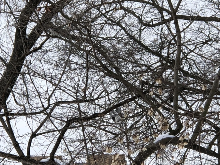 IMG_7345.jpg?type=w966