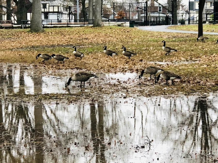 IMG_9663.jpg?type=w966