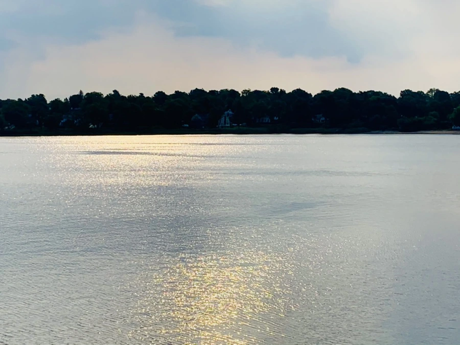 IMG_1574.jpg?type=w966