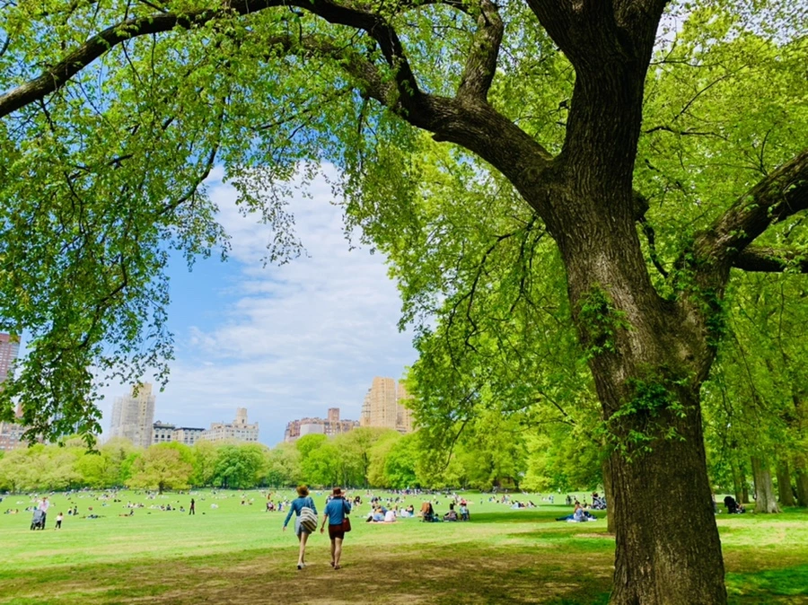 IMG_8782.jpg?type=w966