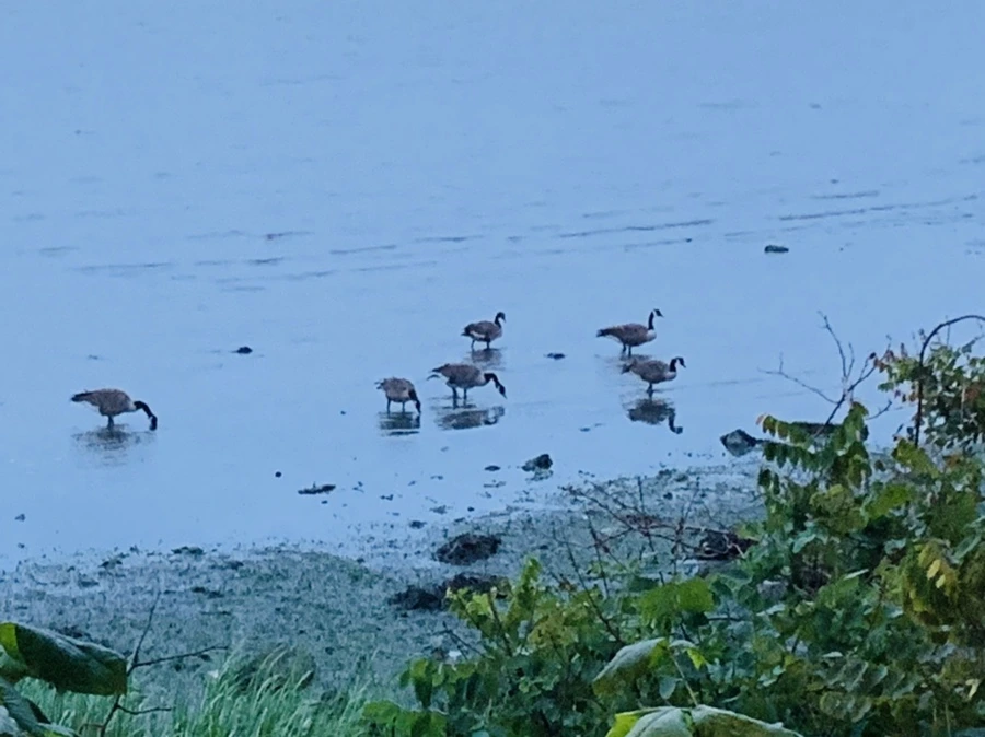 IMG_6747.jpg?type=w966