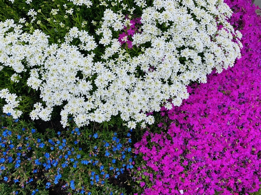 IMG_4039.jpg?type=w966