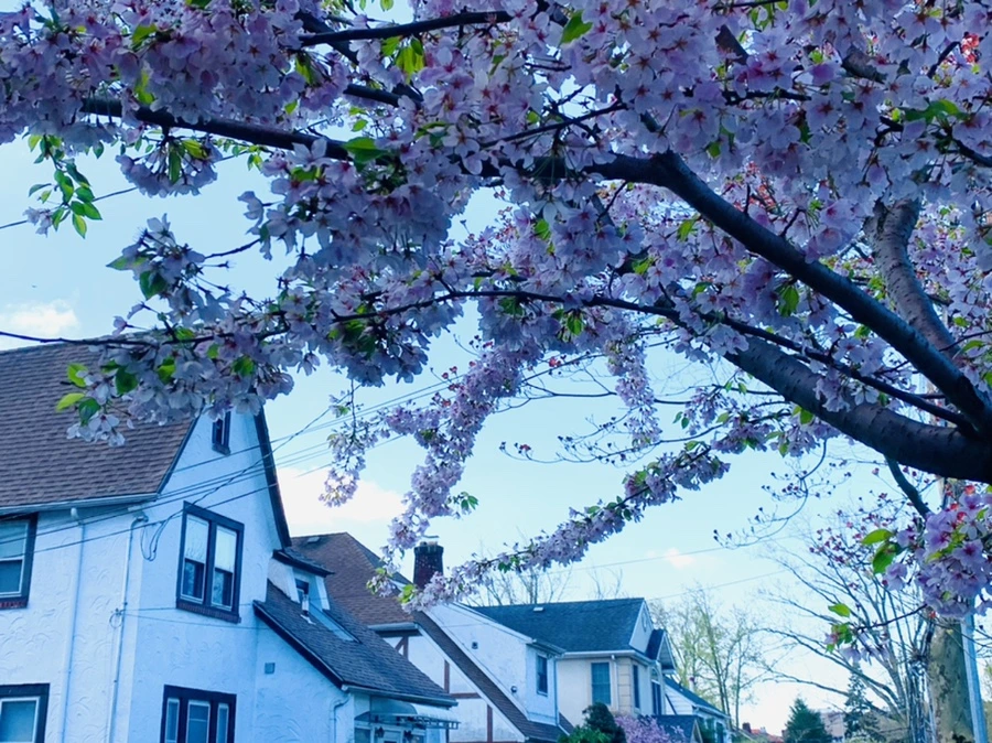 IMG_2640.jpg?type=w966